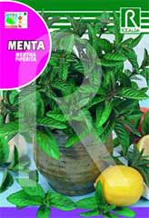 Mint (Mentha piperita) order at Hipersemillas