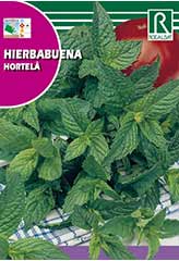 Mint order at Hipersemillas