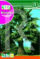 Washingtonia