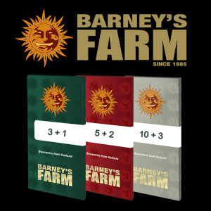 Promotion Barneys Farm