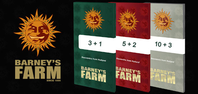Promotion Barneys Farm
