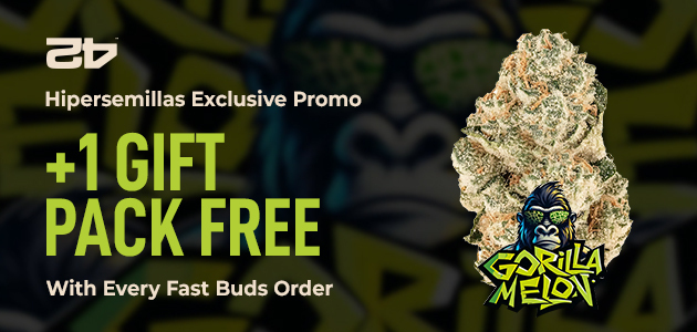 Promotion Gorilla Melon