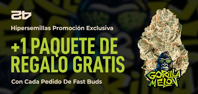 Promotion Gorilla Melon