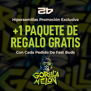 Promotion Gorilla Melon