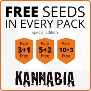 Promotion Kannabia