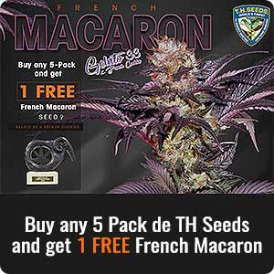 Promotion T.H. Seeds